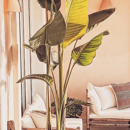 Apartment Luxueus Aan De Costa Blanca Benissa